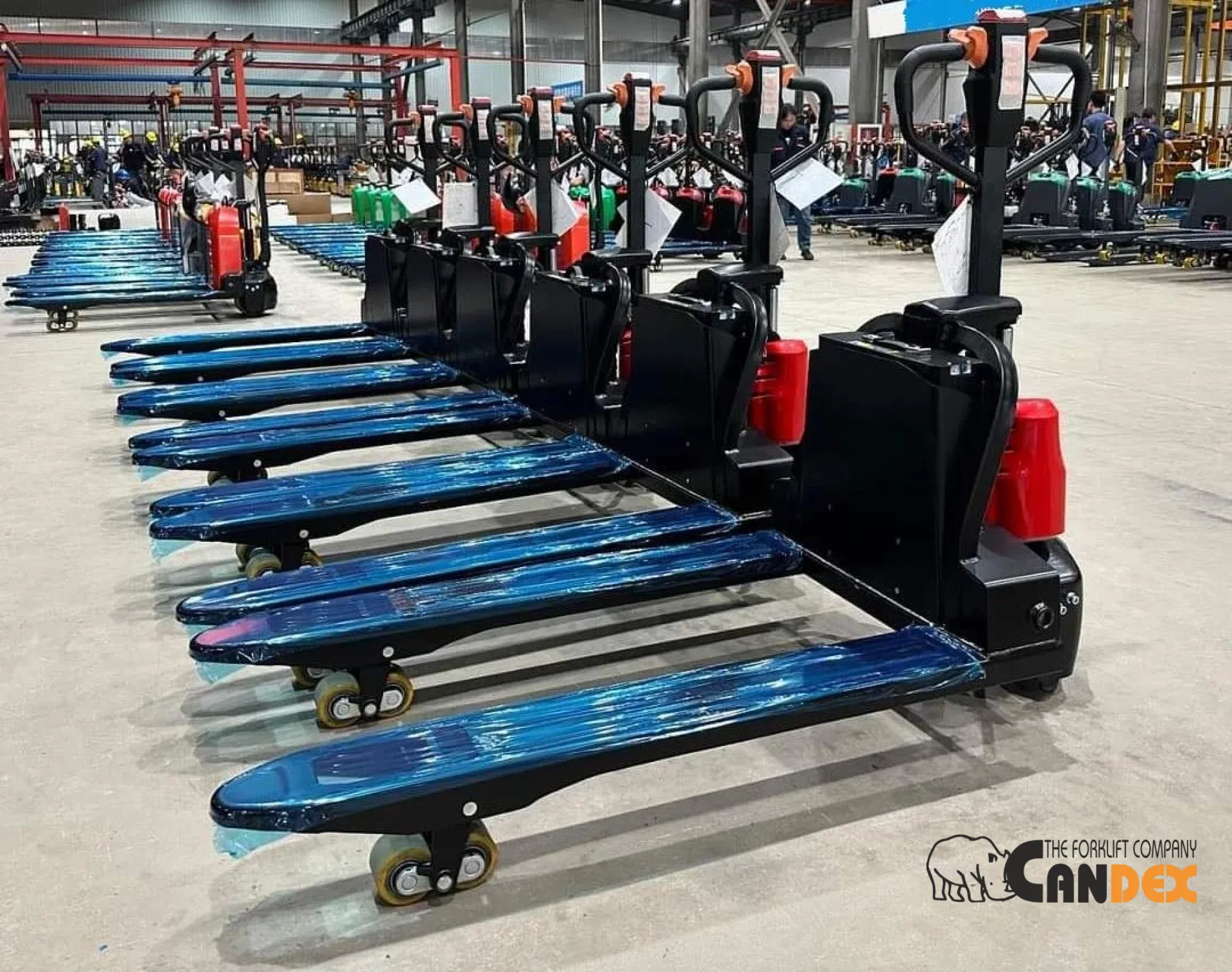 transpalet electric 2 tone Agm